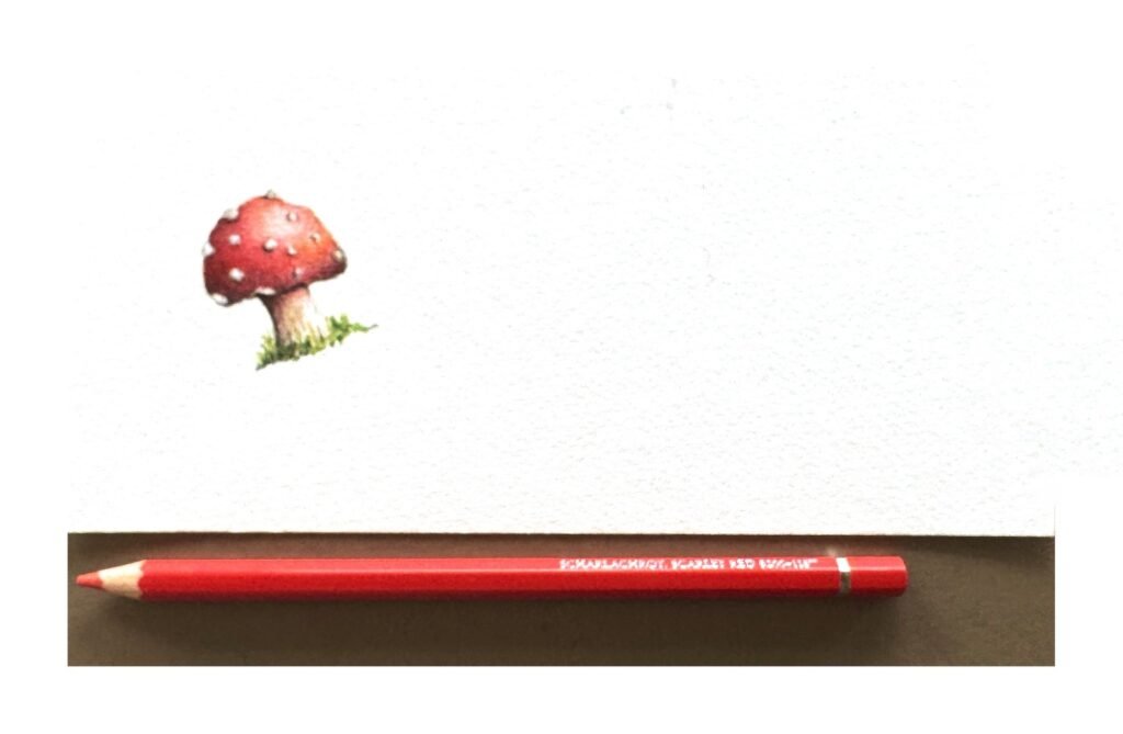 Miniature watercolour and coloured pencil of a red and white Amanita toadstool with pencil