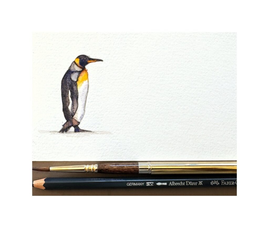 Miniature watercolour and coloured pencil painting of a King Penguin with brush and pencil for scale